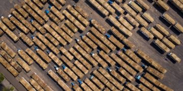 Sustainable Packaging: Reducing the Environmental Footprint in US Logistics - Cover Image