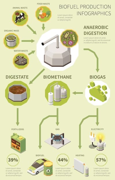 A diagram illustrating the process of converting algae biomass into biofuel. The diagram should clearly show each step of the process, from algae cultivation to the final biofuel product.
