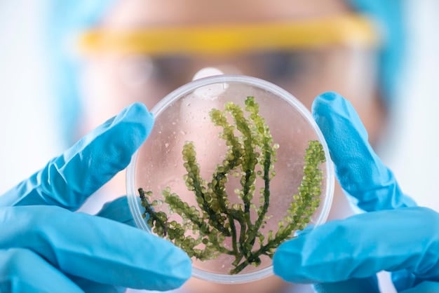 A close-up of a scientist in a lab coat examining a sample of algae under a microscope, highlighting the research and development aspect of algae biofuel production. The background shows various lab equipment and experiments related to biofuel research.