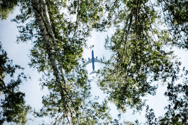 Sustainable Aviation Fuel (SAF): A Guide for Airlines to Meet 2030 Emission Targets