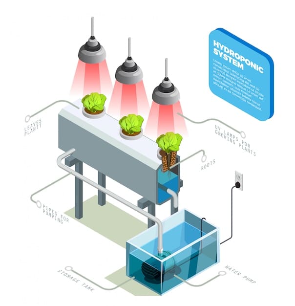 A detailed diagram illustrating the internal workings of a hydrogen fuel cell, highlighting the flow of hydrogen and oxygen, the electrochemical reaction, and the production of electricity and water.
