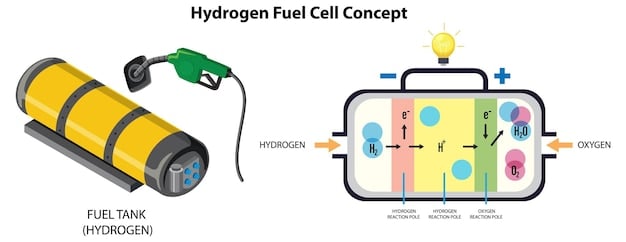 A detailed diagram illustrating the internal components of a PEM fuel cell: anode, cathode, electrolyte membrane, hydrogen flow, oxygen flow, electron flow, and water production. Arrows indicate the movement of each element, and labels clearly identify each component.