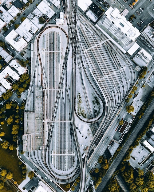 Public Transit Use Soars 15% After Infrastructure Boost: New Study